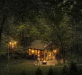 ​Nhà bằng kính đẹp lung linh giữa rừng xanh