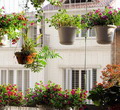 Ban công hoa đẹp hút hồn trên các căn hộ chung cư