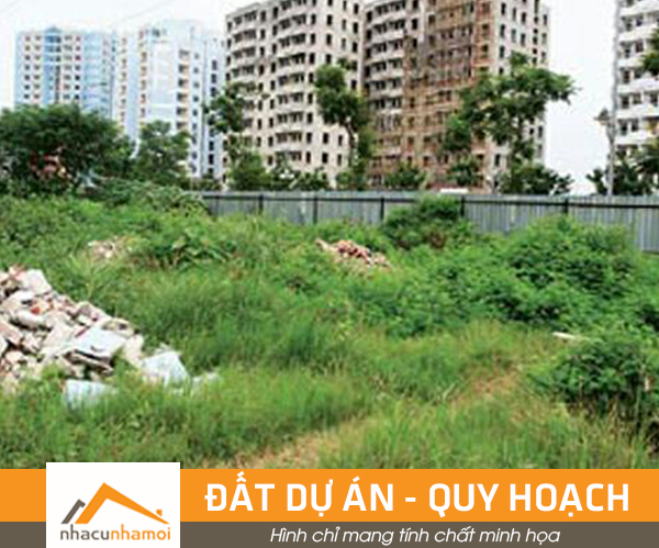 Dự án bất động sản sân bay Long Thành - Cơ hội đầu tư cho mọi người