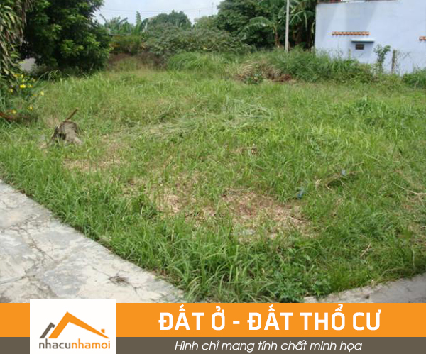 Đầu tư đất nền, cơ hội lớn tại sân bay quốc tế mới