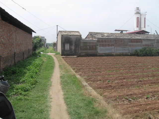 Cần bán gấp mảnh đất vườn 500m2 sổ đỏ chính chủ