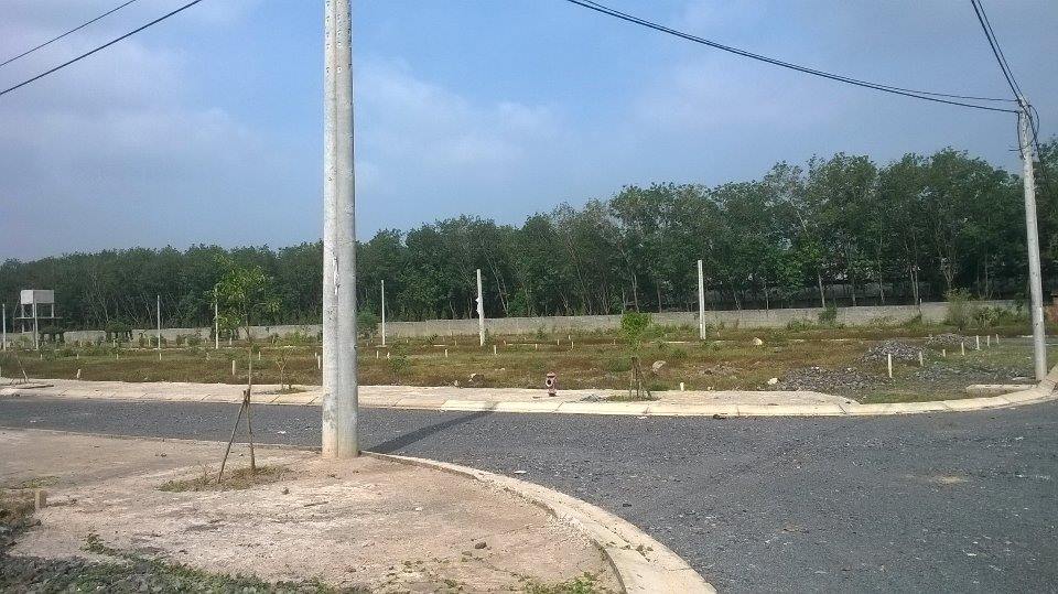 Tiềm năng đầu tư bất động sản