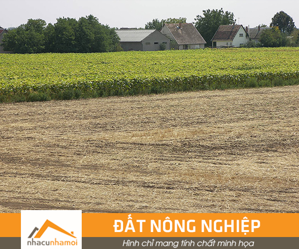 Đất vườn huyện Nhà Bè, 2900m2 ngang lên tới 30m đã san lấp bằng phẳng