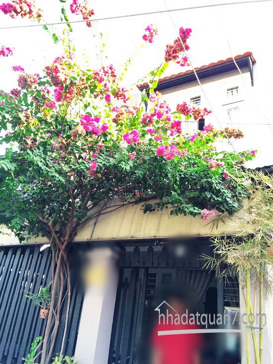 Cần bán gấp nhà 1 lầu đúc kiên cố hẽm 160 Nguyễn Văn Quỳ , Quận 7 (Hẻm 5m)