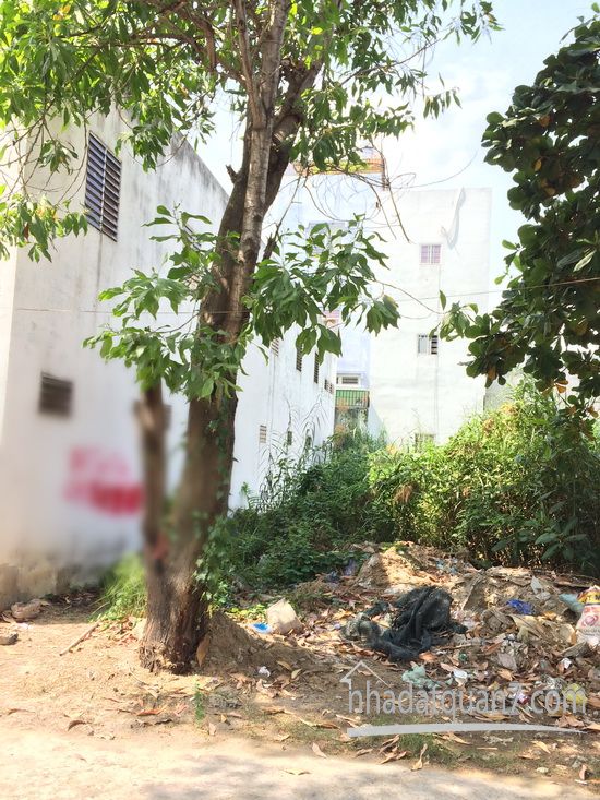 Bán lô đất thổ cư mặt tiền đường nhựa 8m Nguyễn Văn Linh , P . TTT, Quận 7