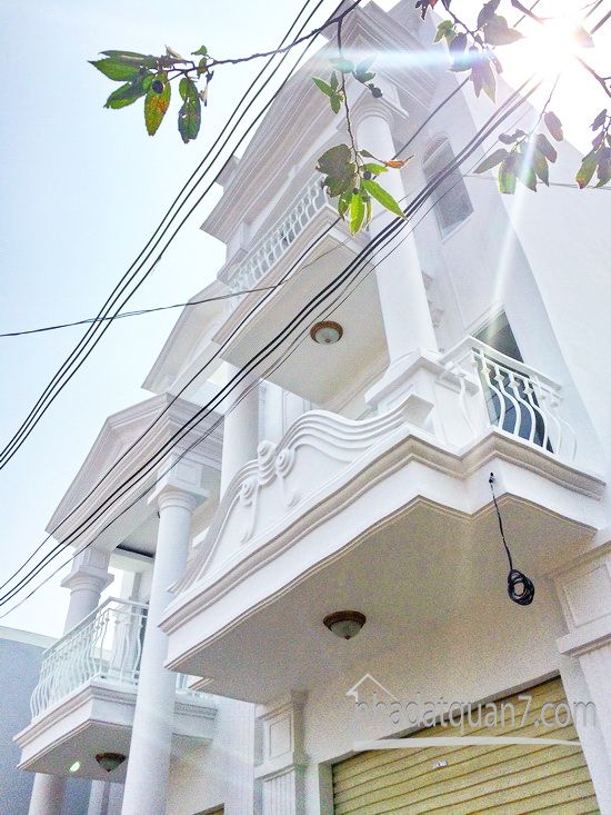 Bán gấp nhà phố giả biệt thự hiện đại hẻm nhựa 8m đường Bùi Văn Ba, Quận 7