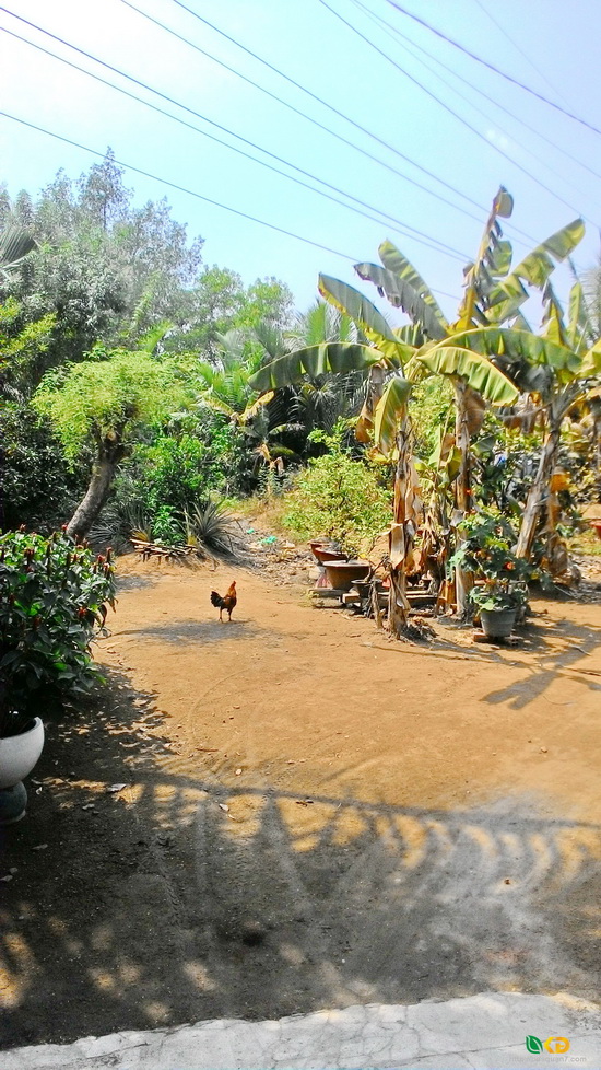 Bán lô đất lớn 1112m² hẻm xe hơi 1092 Huỳnh Tấn Phát, quận 7