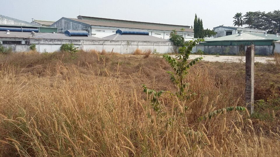 Đất ngay ngã tư Tân Quy, gần quốc lộ 8, đường 15m, giá 2.9 triệu/m2