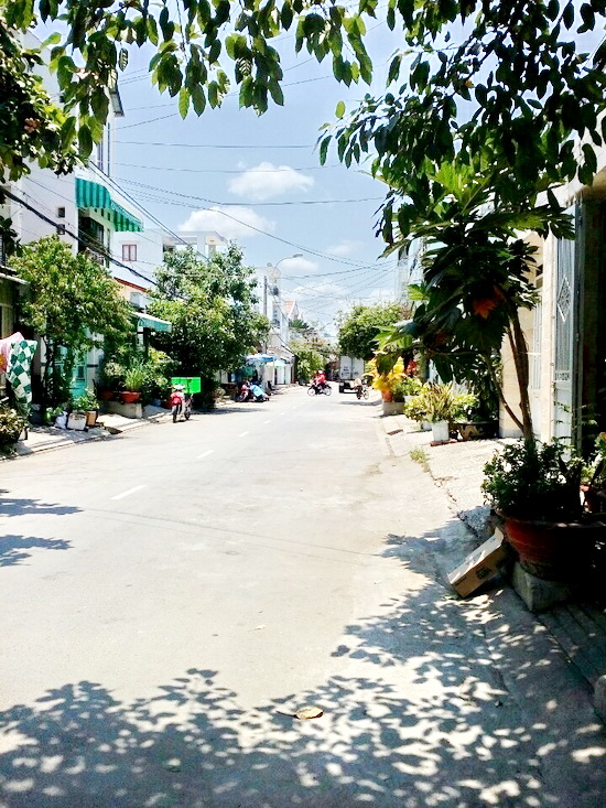 Bán gấp 126m² đất chính chủ, sổ đỏ ở quận 7, phường Phú Mỹ