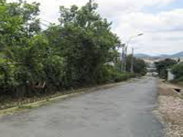 D3182 Đất nền rộng đường ô tô sổ riêng khu nghỉ dưỡng Đà Lạt – Bất Động Sản Liên Minh