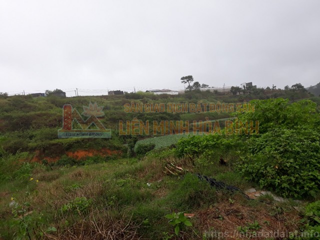 bán gấp nhà An Sơn  - Phường 4 - Đà Lạt