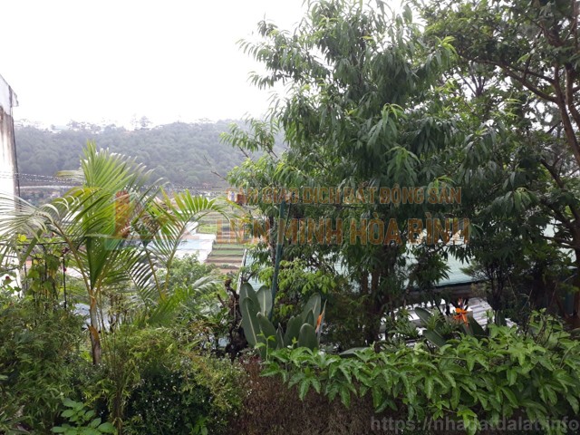 Cần bán gấp nhà đường Trần Quang Diệu  - Phường 10 - Đà Lạt