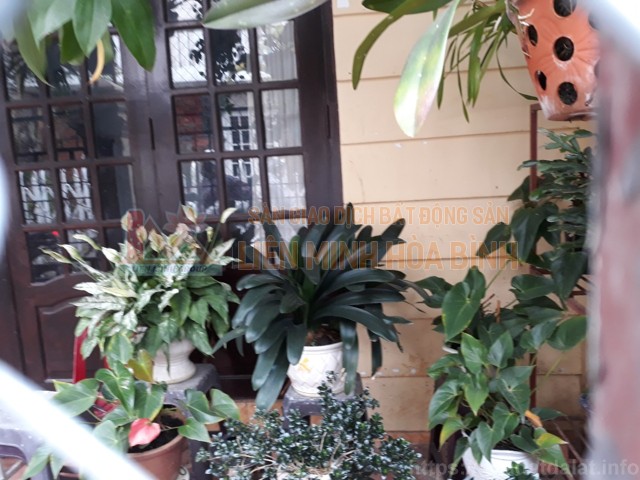 Cần bán gấp nhà đường Phạm Hồng Thái  - Phường 10 - Đà Lạt