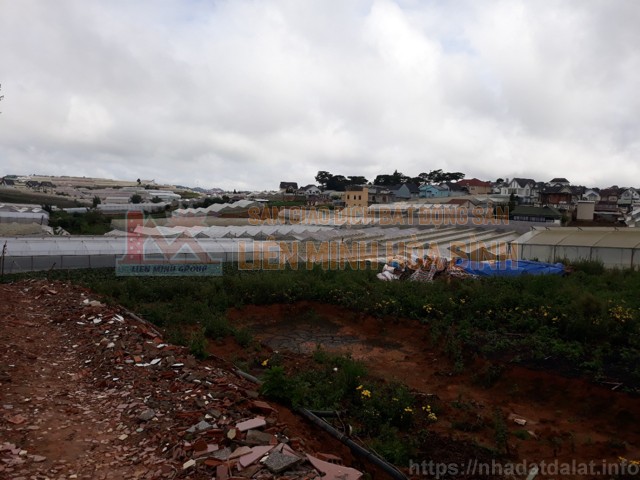 bán gấp nhà đường Mai Anh Đào- Phường 8 - Đà Lạt