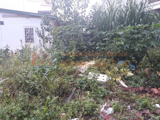 Bán lô đất đường Phan Đình Phùng - P2 - Đà Lạt