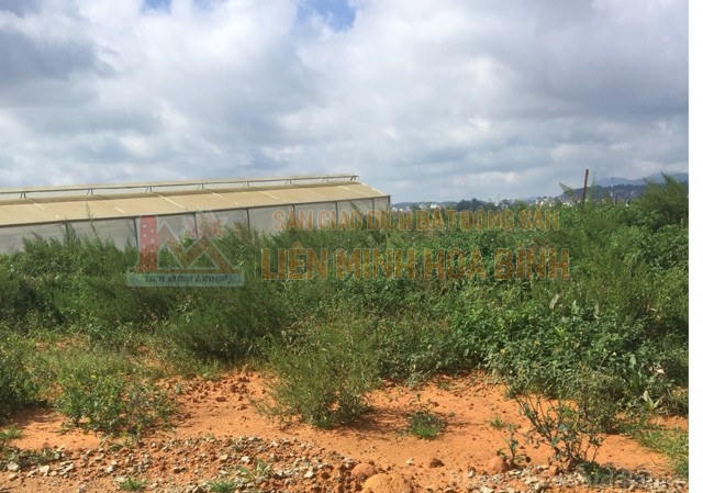 Cần bán nhanh đất nền đường Bạch Đằng, P7, TP Đà Lạt