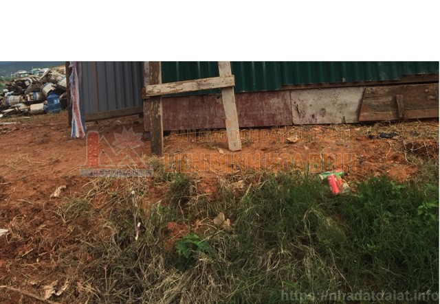 Cần bán nhanh đất KQH Bạch Đằng – Ngô Quyền, P6, TP Đà Lạt