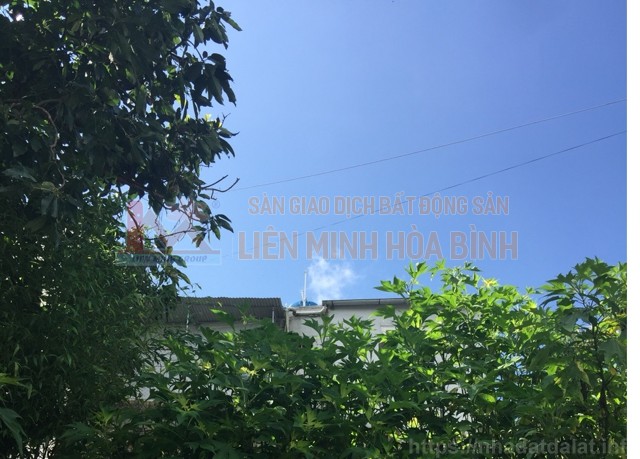 Cần bán nhanh đất giá rẻ đường Đa Minh, P5, TP Đà Lạt