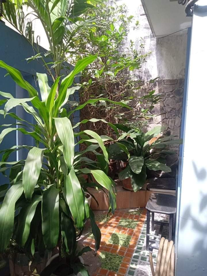 QUÁ GẮT NHÀ 100m2 5x20 7PN 7WC vuông A4 Huỳnh Tấn Phát phường Tân Phú Quận 7 chỉ 4 tỷ 99