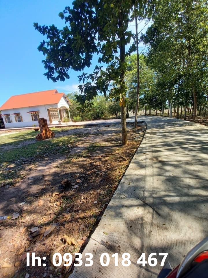 Cần bán đất chơn thành 5x50m, 10x50m, 350tr. Gọi ngay 0933 018 467-0978 787 009  ngân hàng hỗ trợ 50%-25