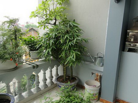 bí quyết phong thuỷ