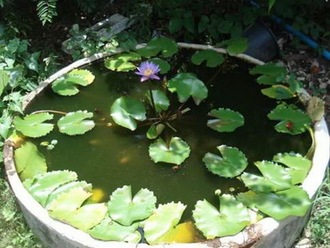 phong thủy trong nhà ở