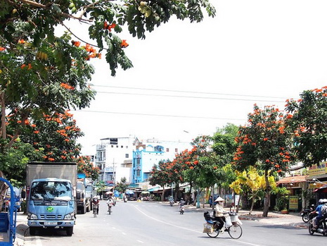Con đường hoa ở Sài Gon