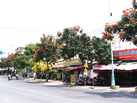 Con đường hoa ở Sài Gon