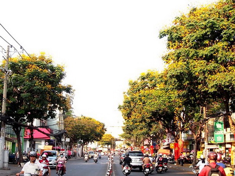 Con đường hoa ở Sài Gon