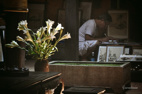 hoa kèn trên phố Hà Nội