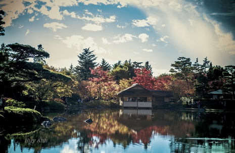 Nhật Bản rực rỡ cuối thu