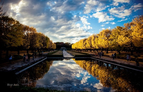 Nhật Bản rực rỡ cuối thu