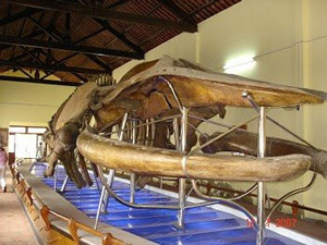 Du lịch Phan Thiết - Bình Thuận