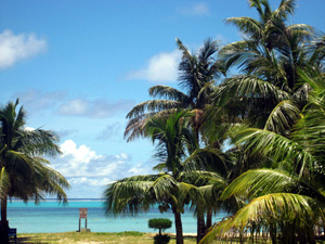 Du lịch Phan Thiết - Bình Thuận