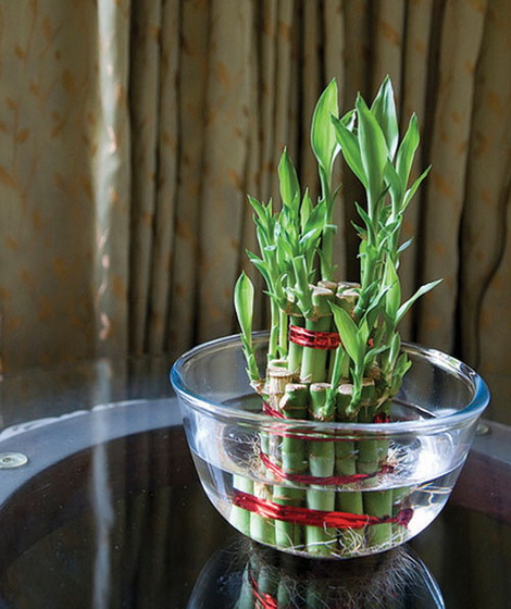 Giải nhiệt cho nhà mùa nắng nóng