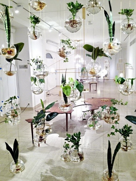 Sắc xanh cho nhà phố