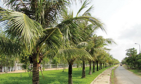 mua nhà bằng cả trái tim