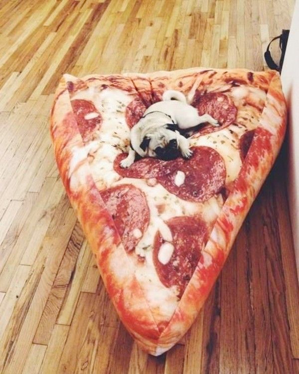 Nội thất độc đáo