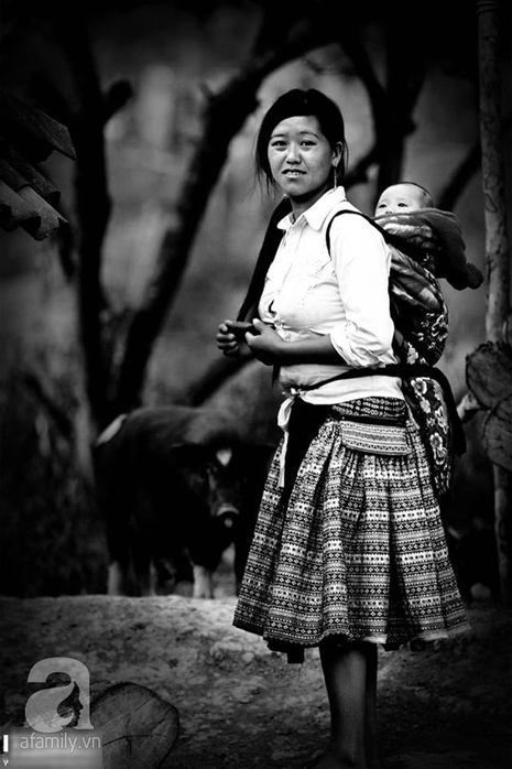 hoa đào mộc châu