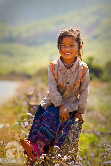 hoa đào mộc châu