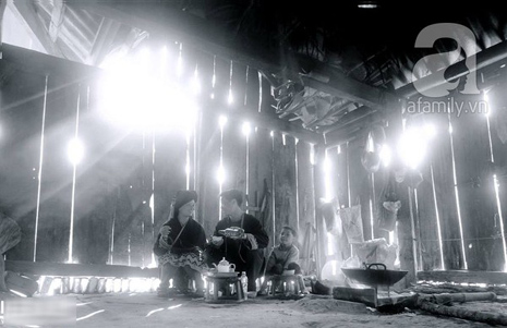 hoa đào mộc châu