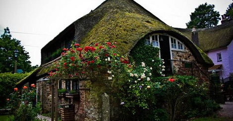 Chọn đất làm nhà